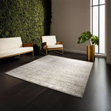 Modern Part Silk Riviera Rug 246 × 309 cm
