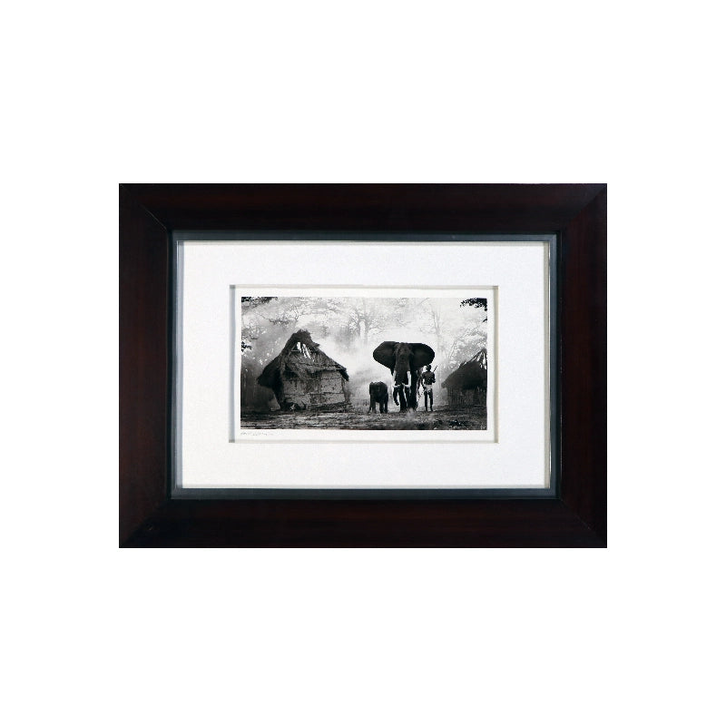 Horst Klemm B/W Framed Elephant 87 × 63 cm