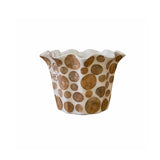 Shell Pot Collection Cream & Gold (S, M, L)