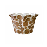 Shell Pot Collection Cream & Gold (S, M, L)