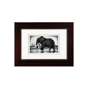 Framed black-and-white photo of an elephant walking through shallow water with a mahout beside it on a white mat in a dark wooden frame
